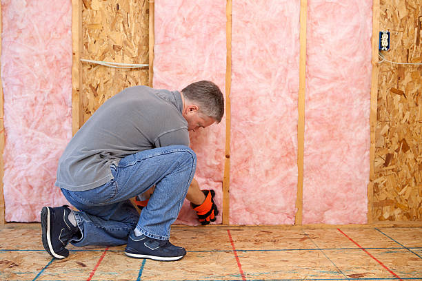 Best Types of Insulation in Chesterton, IN